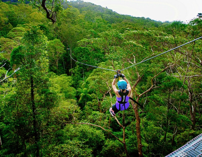 Canyon Flyer