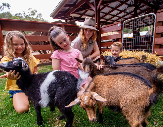 Kids playing with farm animals Currumbin Wildlife Sanctuary