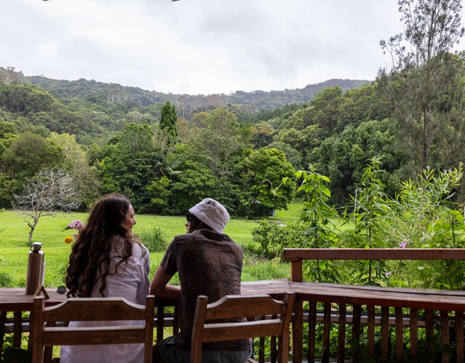 Currumbin Valley Harvest