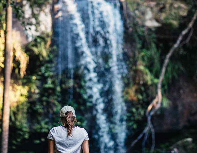 Curtis-Falls Tamborine Mountain