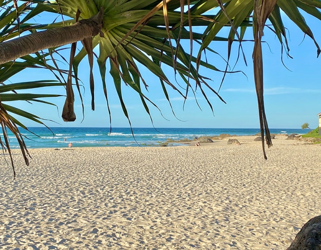 Kirra Beach
