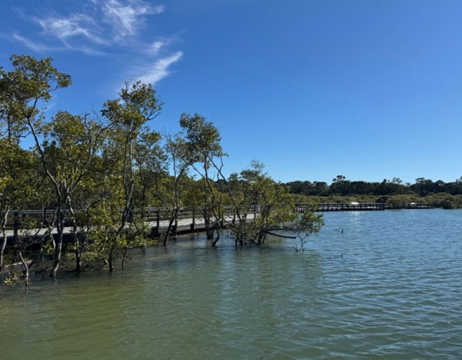 Currumbin Creek boardwalk