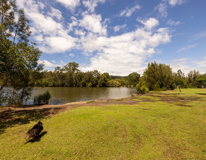 Tallebudgera Off Leash Agility Dog Island