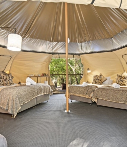 Cedar Creek Lodges: The Woodlands Glamping Tamborine Mountain