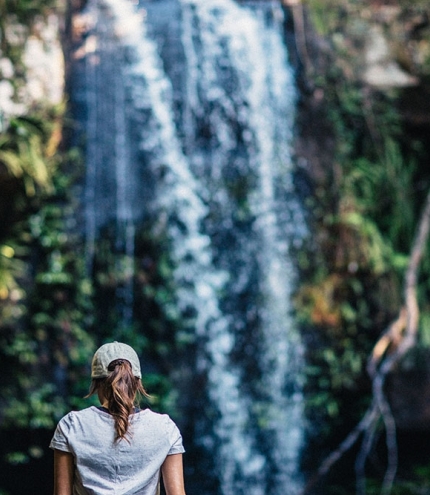 Curtis-Falls Tamborine Mountain