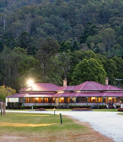 O'Reilly's Canungra Valley Vineyard