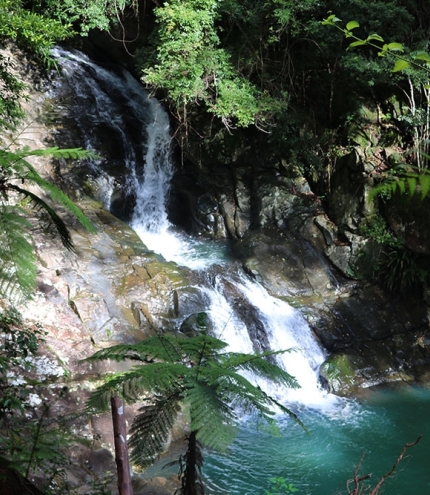 Cougal Cascades Springbrook National Park Currumbin Valley