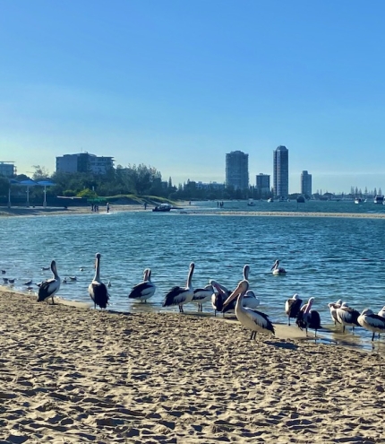 Marine Parade Foreshore Walk