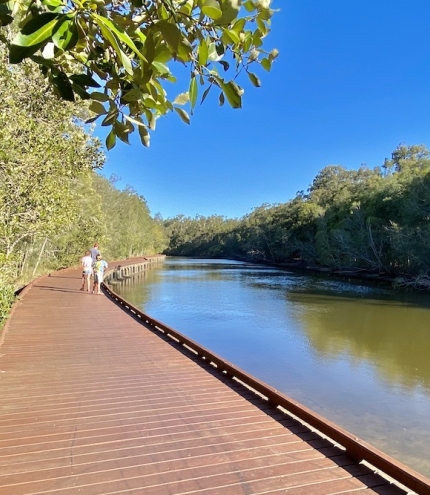 Myola Boardwalk, Coombabah Lakelands Conservation Area