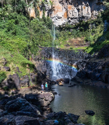 Stunning tall waterfall at Purling Brook Falls Lamington National Park