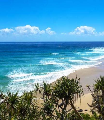 Snapper Rocks, Coolangatta