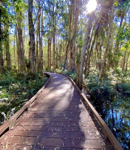 Coombabah Lakelands boardwalk