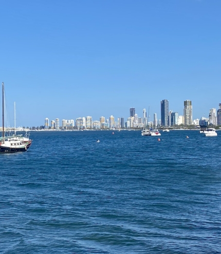 The Broadwater Labrador