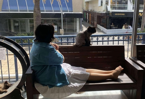 Woman sitting on balcony with cat Crazy Cat Cafe