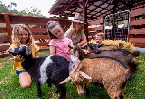 Kids playing with farm animals Currumbin Wildlife Sanctuary