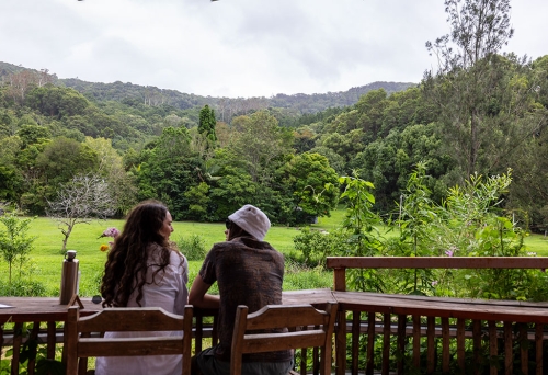 Currumbin Valley Harvest