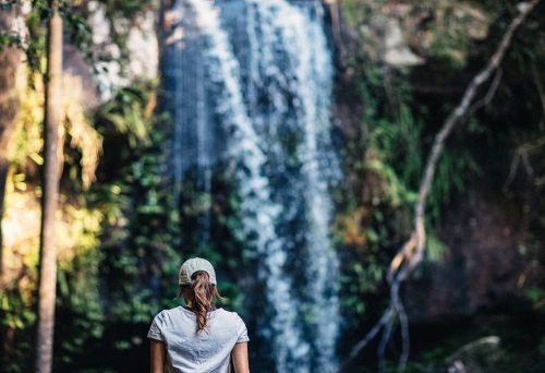 Curtis-Falls Tamborine Mountain