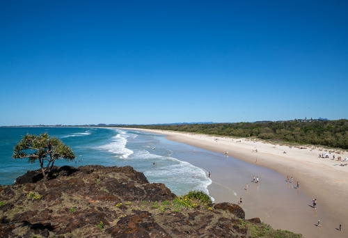 Fingal Head - Dreamtime Beach Walk