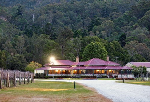 O'Reilly's Canungra Valley Vineyard