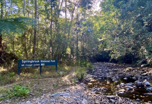 Cougal Cascades, Springbrook National Park