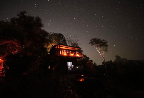 The Jardin Collective view at night