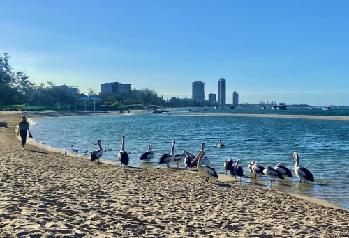 Marine Parade Foreshore Walk
