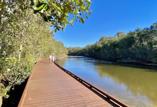 Myola Boardwalk, Coombabah Lakelands Conservation Area