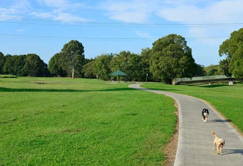 Schuster Park Tallebudgera