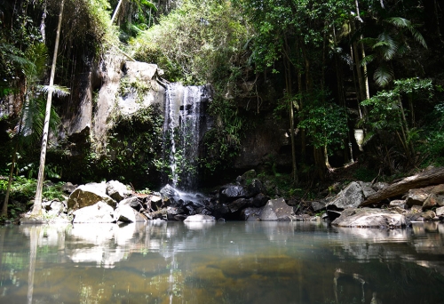 Curtis Falls Tamborine Mountain