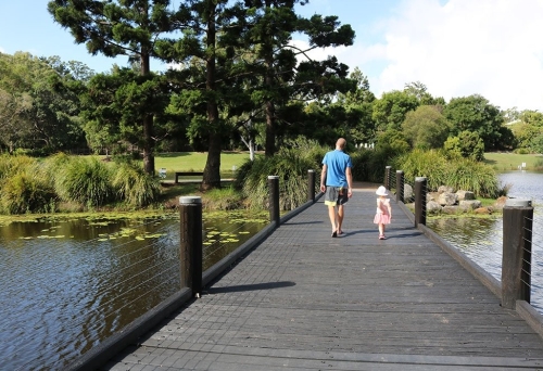 Boardwalk at Gold Coast Botanic Gardens 