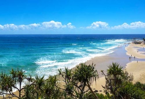 Snapper Rocks, Coolangatta