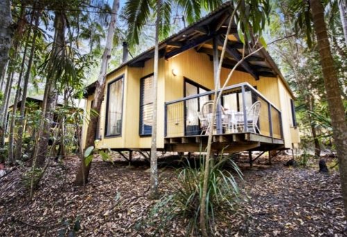 Tamborine Mountain Glades, Tamborine Mountain