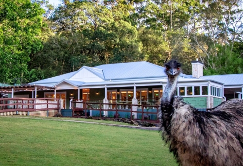The Homestead Currumbin Wildlife Sanctuary 
