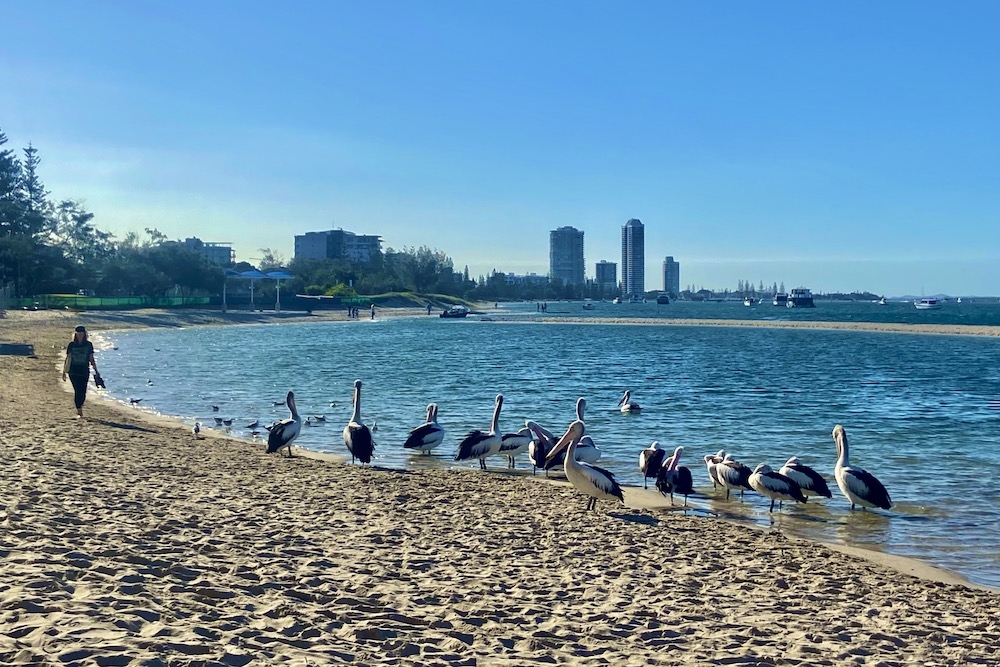 Marine Parade Foreshore Walk