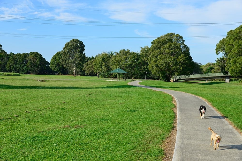 Schuster Park Tallebudgera