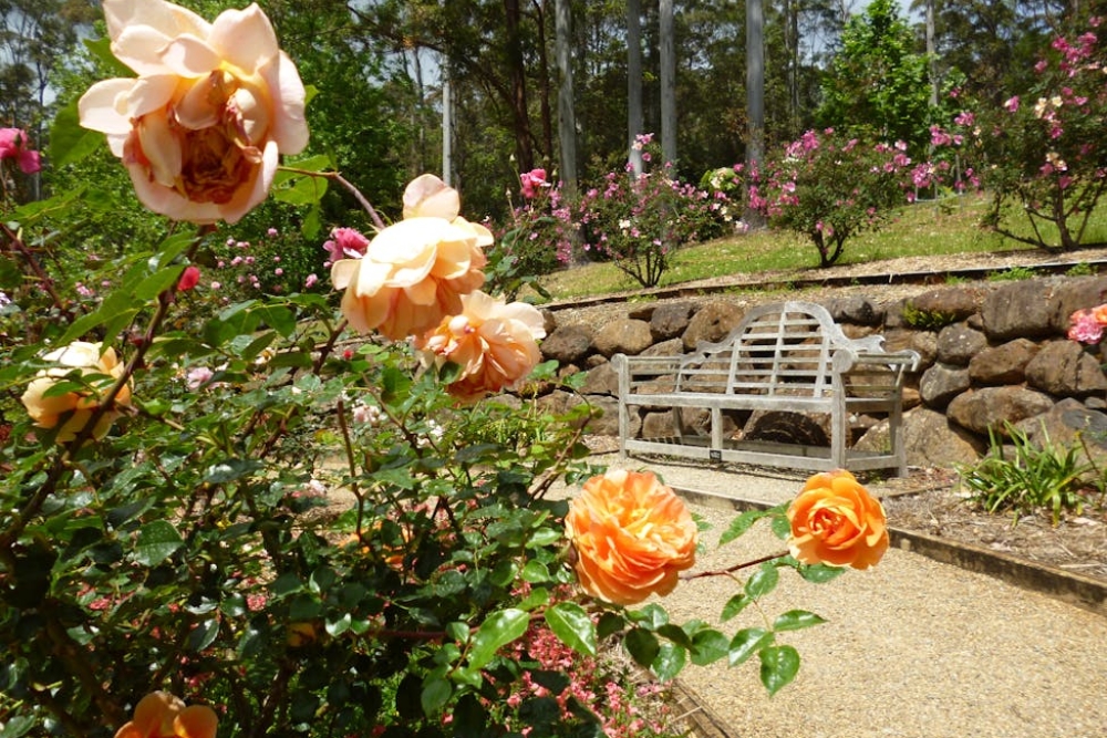 Botanic Gardens, Tamborine Mountain
