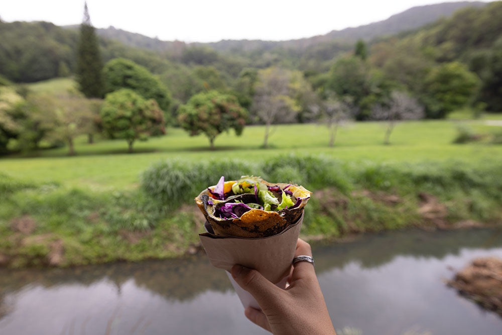 Currumbin Valley Harvest