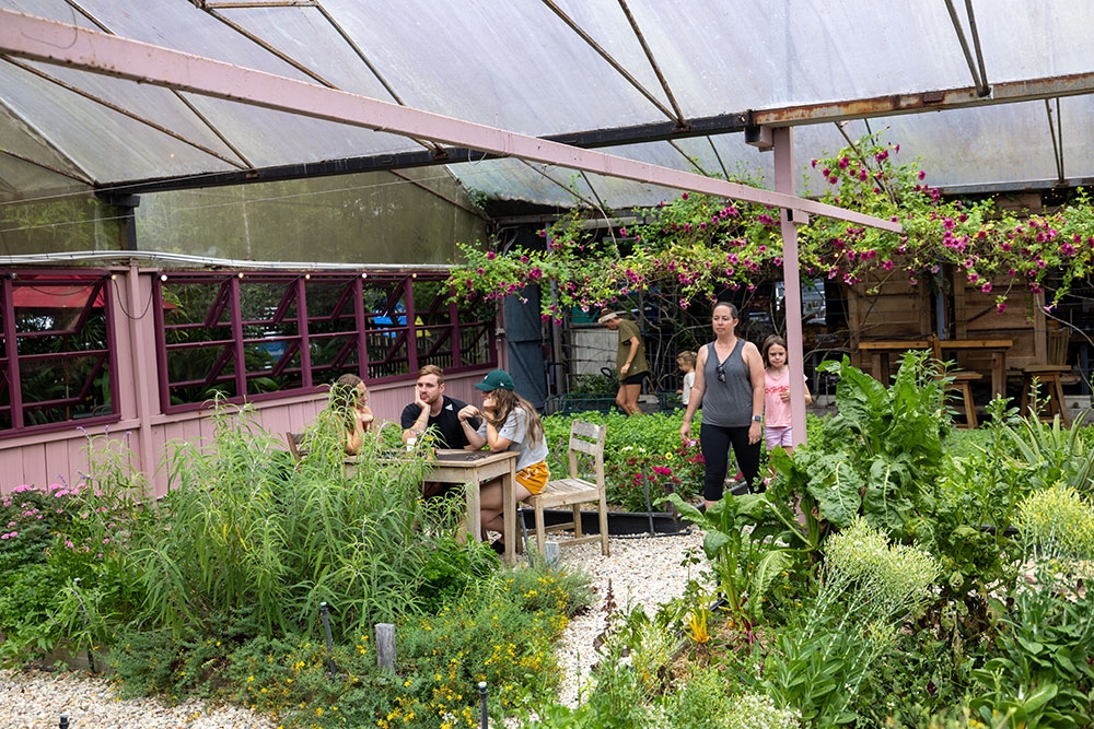 Currumbin Valley Harvest