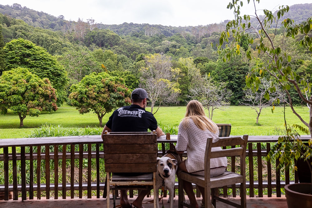 People sitting at Currumbin Harvest