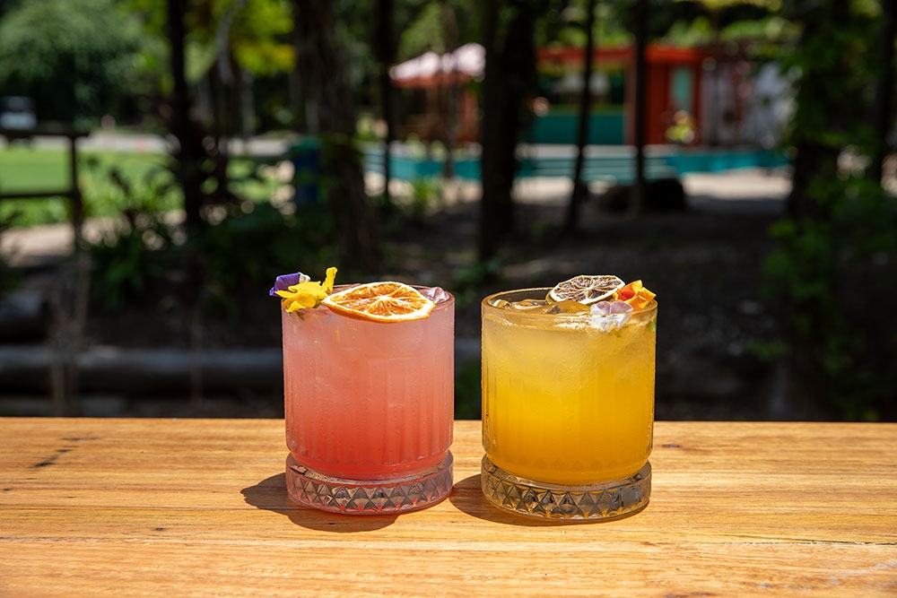 Ninja Nectar and Easy On The Eyes cocktails