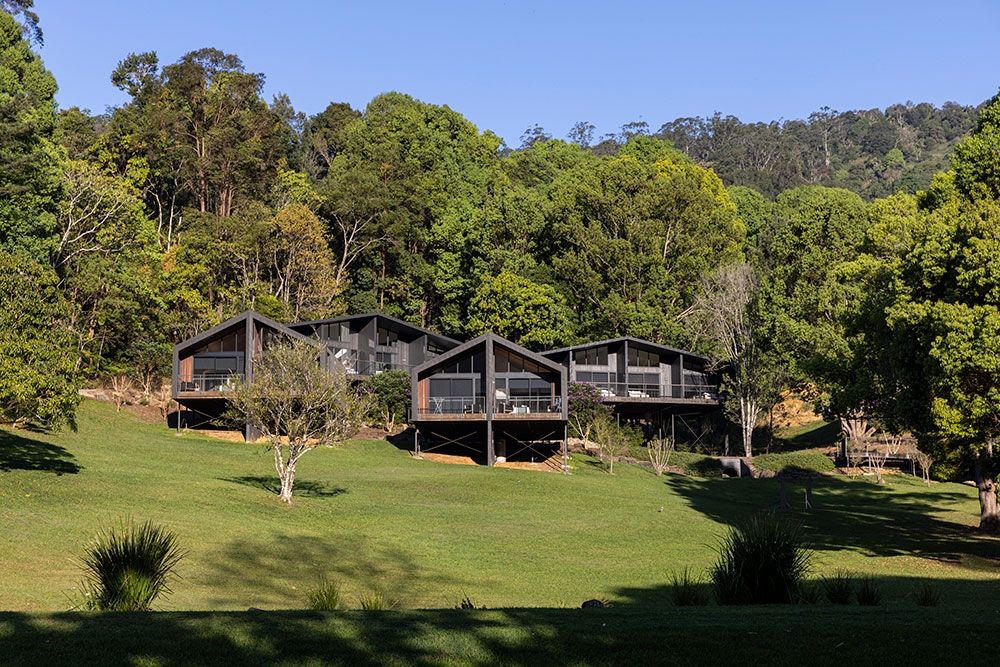 Cabins with rainforest background at Eden Health Retreat, Currumbin Valley