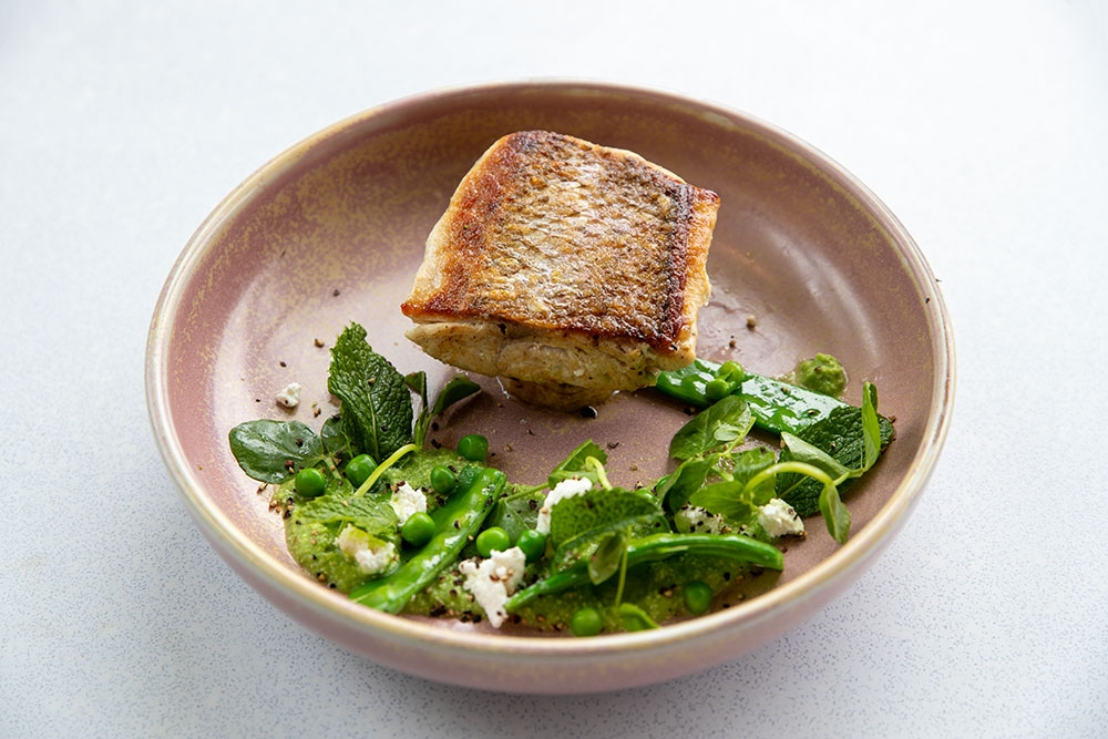 Barramundi dish