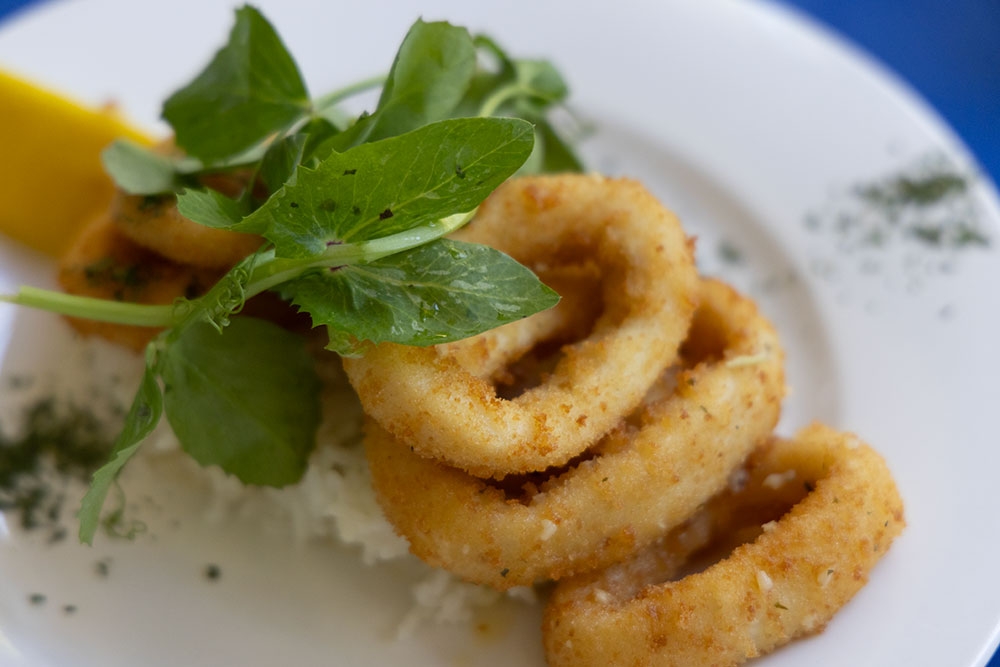 Plate of calamari at George's Paragon