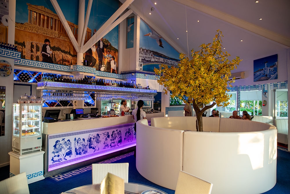 Bar with olive tree in pot at Georges Pizza Wine Bar, Burleigh Heads