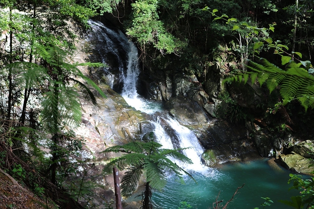 Cougal Cascades 