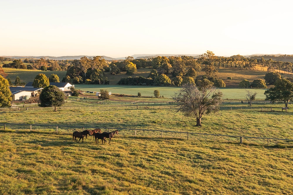Hazelwood Estate Scenic Rim