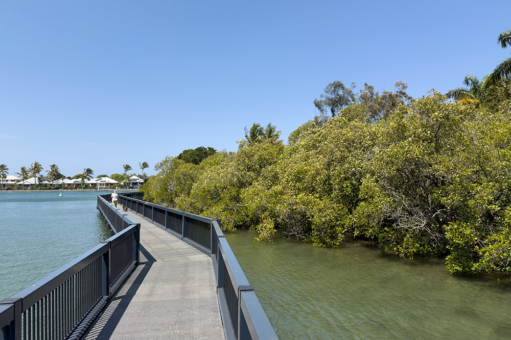 Boardwalk past mangroves on Terranora Creek