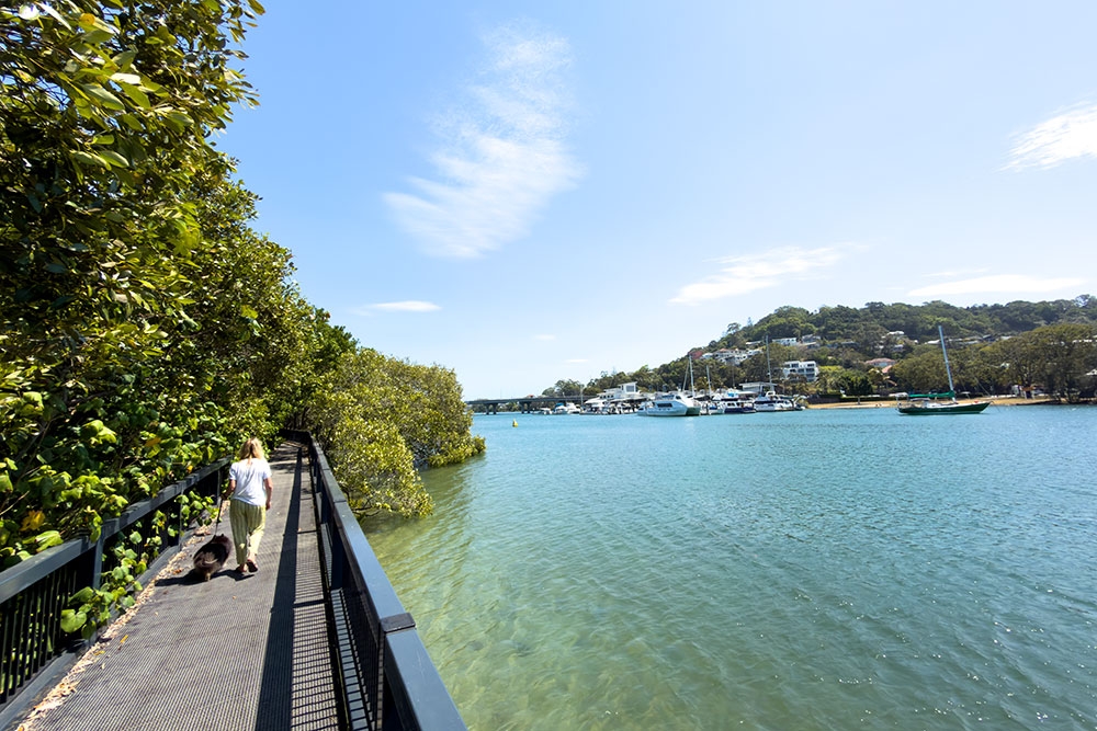 Woman and dog on boardwalk at Terranora Creek