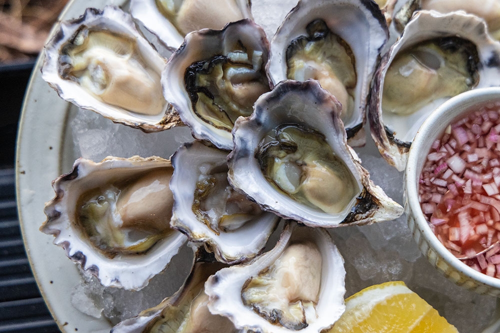Oysters on plate at Kirra Beach House