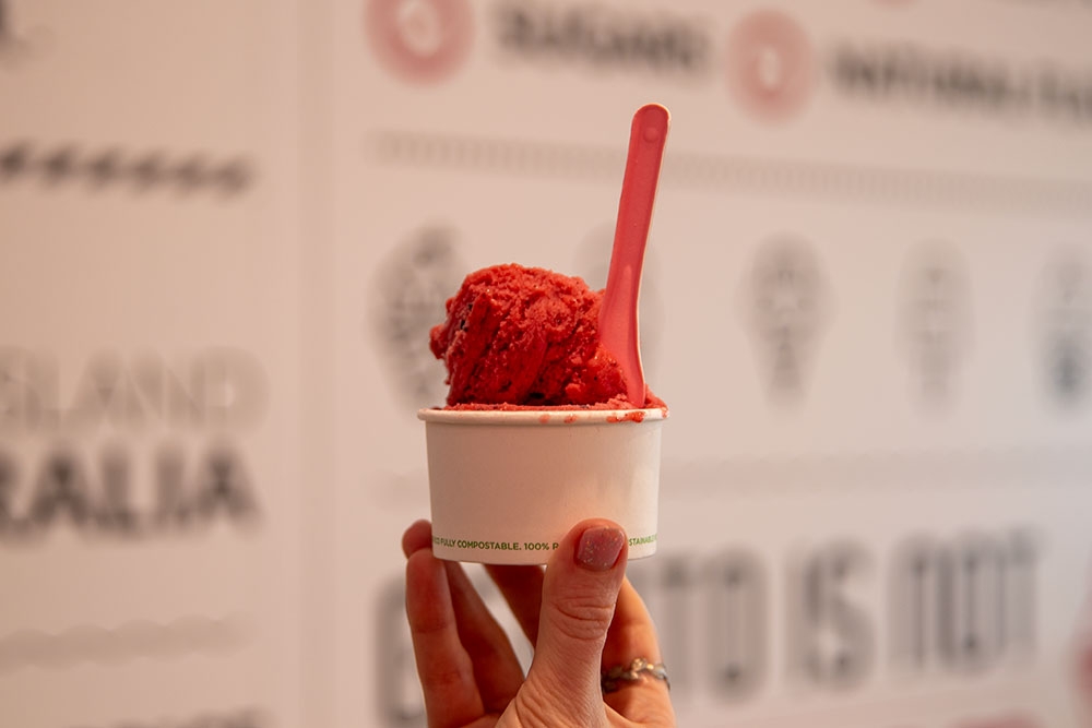 Mixed Berry sorbet in a cup